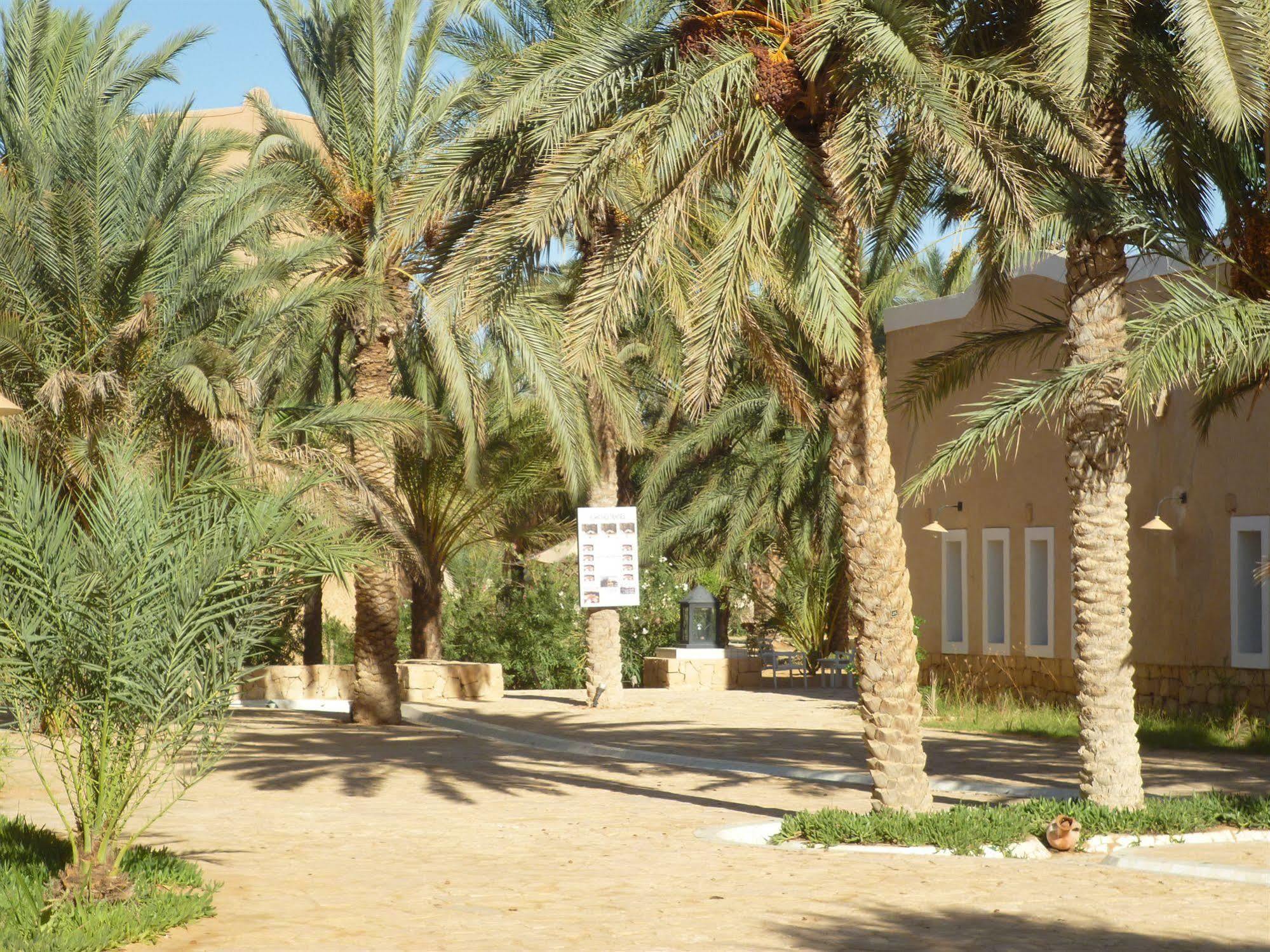 Campement Yadis Ksar Ghilane Exterior foto